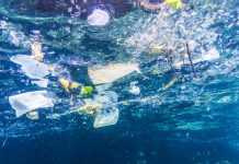 Environmental Issue: Underwater image of Plastic in the Ocean