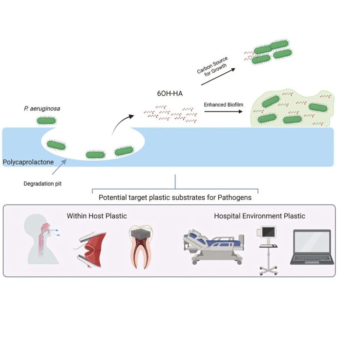 Credit: Cell Reports (2025). DOI: 10.1016/j.celrep.2025.115650
