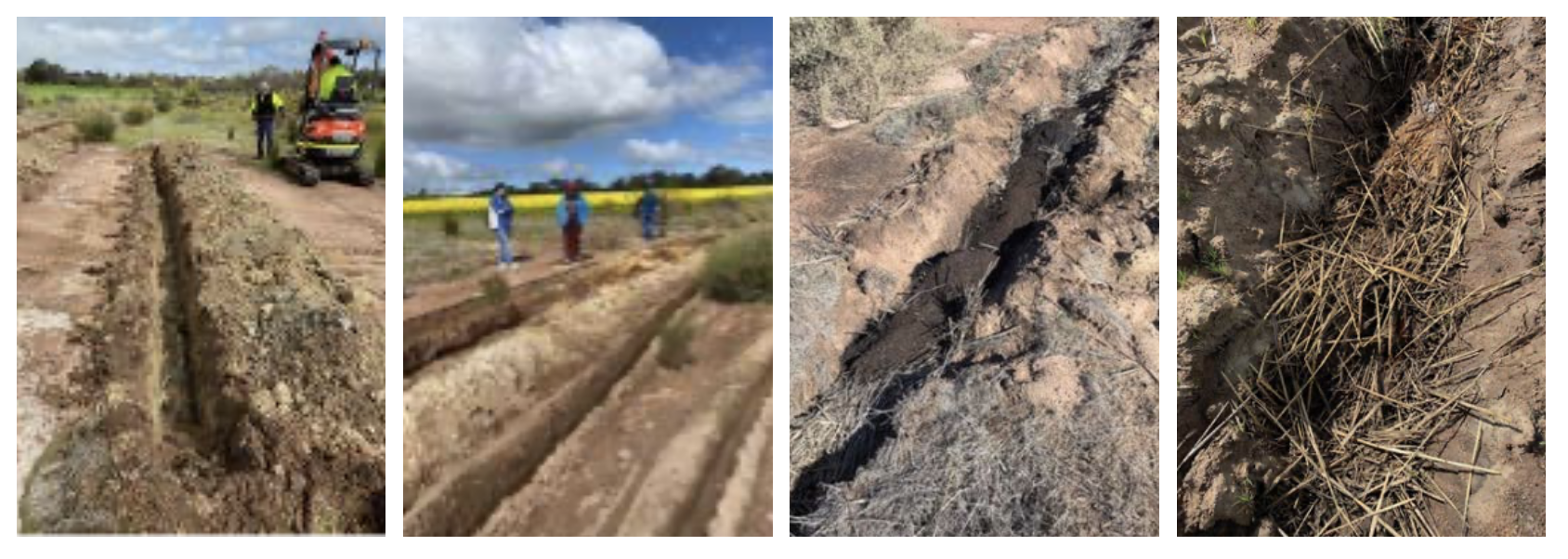 FIGURE 2. a and b. Drilling the permeable biomass walls, c. walls filled with organic materials, including biochar, and d. wall filled with organic materials, including straw.
