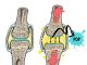 Figure 1 (Created by Dr. Valerie Weiss) - article: Joint manipulation and sounds, how do they arise?