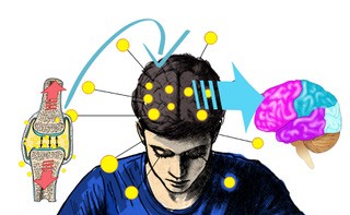 Figure 2 (Created by Dr. Valerie Weiss)