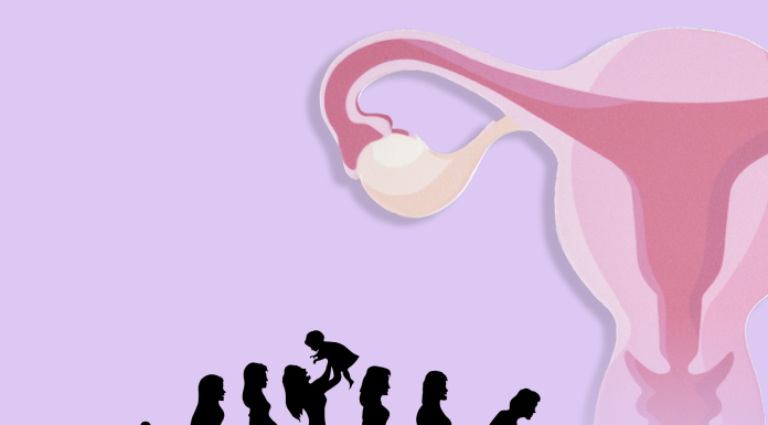 ovaries, human lifespan and fertility infographic