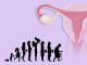 ovaries, human lifespan and fertility infographic