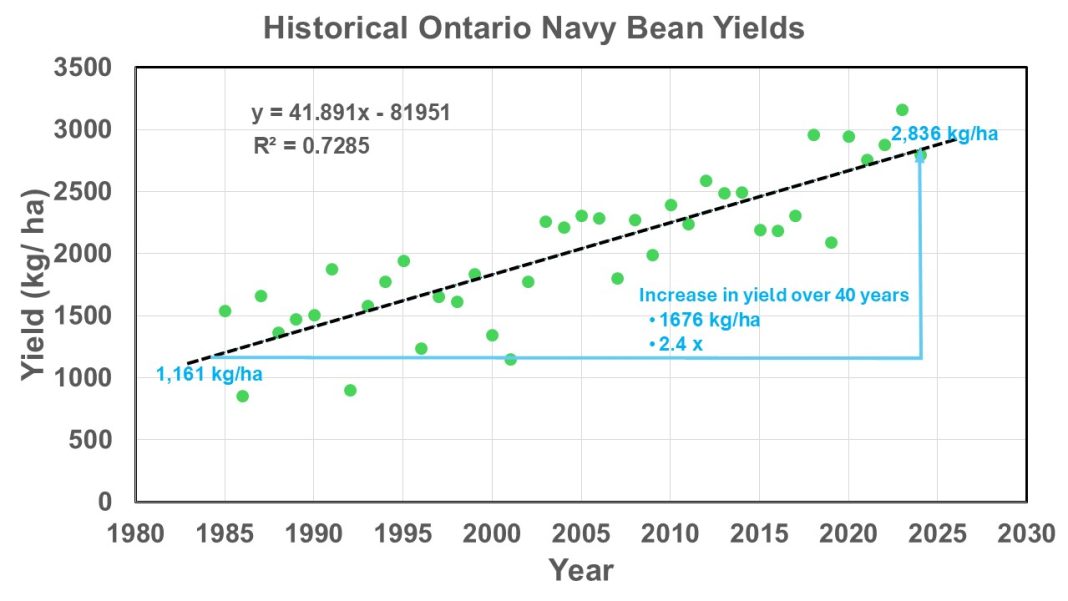 Figure 1. Historical Ontario white navy bean yields.