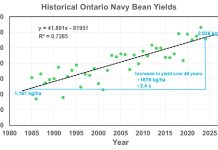 Figure 1. Historical Ontario white navy bean yields.