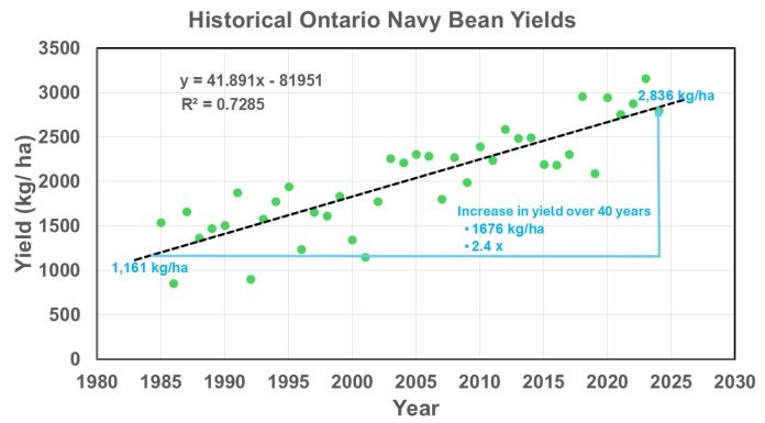 Figure 1. Historical Ontario white navy bean yields.