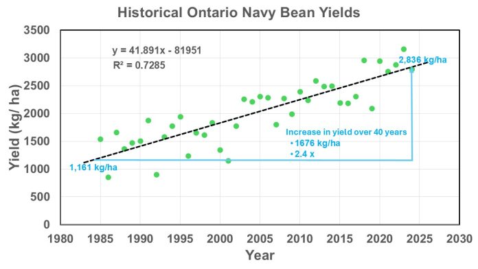 Figure 1. Historical Ontario white navy bean yields.