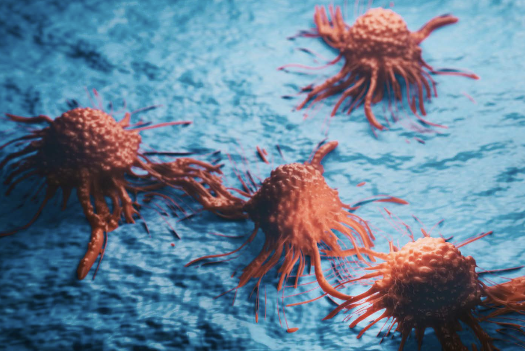 Cancer cell view - 3d rendered image, enhanced scanning electron micrograph (SEM) of cancer cell. Visual of overall shape of the cell's surface at a very high magnification. Medical research concept. Cancer therapy