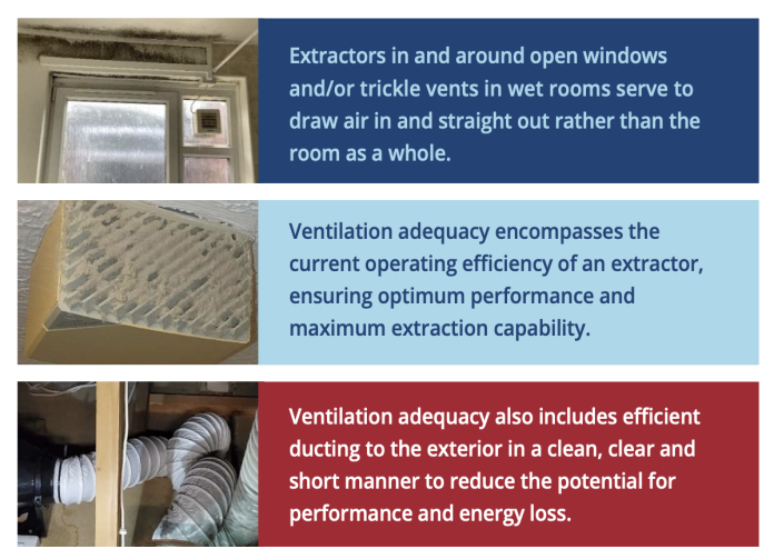 Every day witnessed issues include? damp and mould
