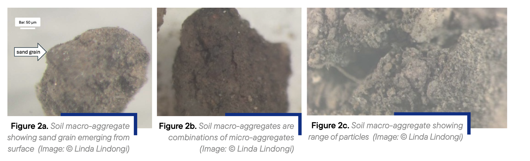 Figure 2a, 2b, 2c.