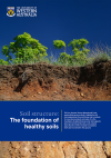 Soil structure: The foundation of healthy soils