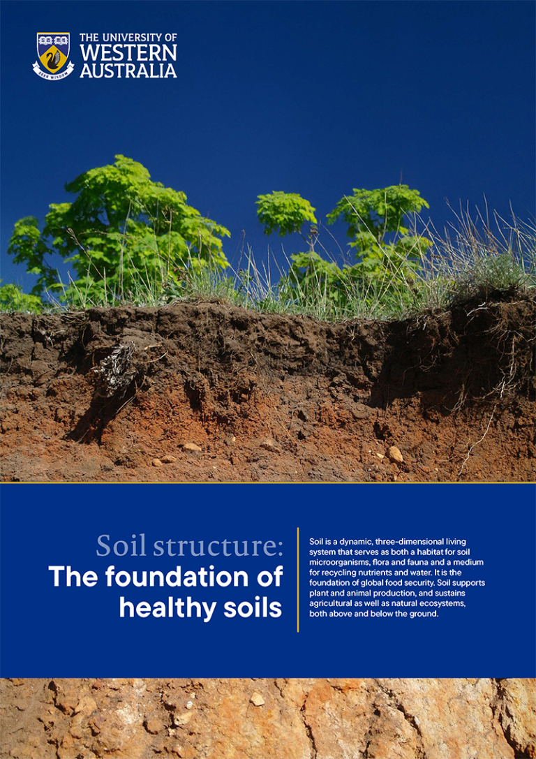 Soil structure: The foundation of healthy soils