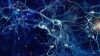 Neurons cells concept