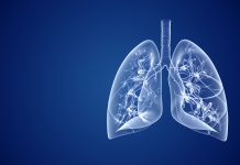 Human lungs healthcare and medical abstract background