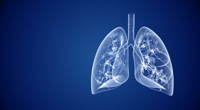 Human lungs healthcare and medical abstract background