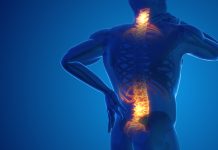Pain in the back and neck joint 3D illustration