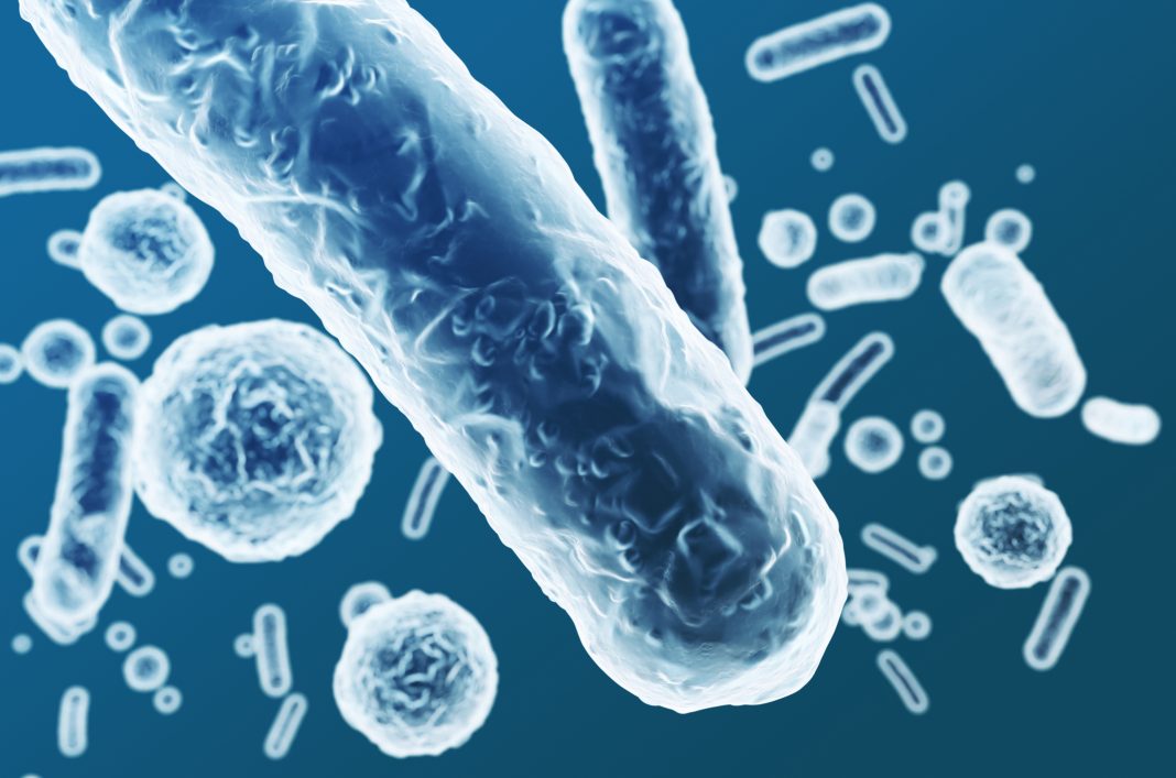 Enterobacteriaceae, gram-negative rod-shaped bacteria, part of intestinal microbiome and causative agents of different infections, 3D rendering. Escherichia coli, Klebsiella, Enterobacter and other