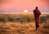 Masai man, wearing traditional blankets, overlooks Serengeti in Tanzania as the colorful sunset fills the sky. Wild grass in the forground.