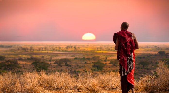 Masai man, wearing traditional blankets, overlooks Serengeti in Tanzania as the colorful sunset fills the sky. Wild grass in the forground.