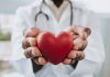 Portrait of a doctor holding a heart in his hands
