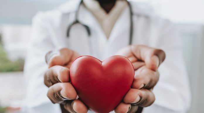 Portrait of a doctor holding a heart in his hands