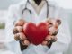 Portrait of a doctor holding a heart in his hands