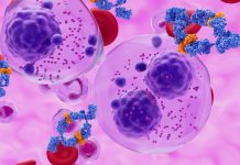 Monoclonal antibody treatment in Multiple myeloma (MM) - closeup view 3d illustration