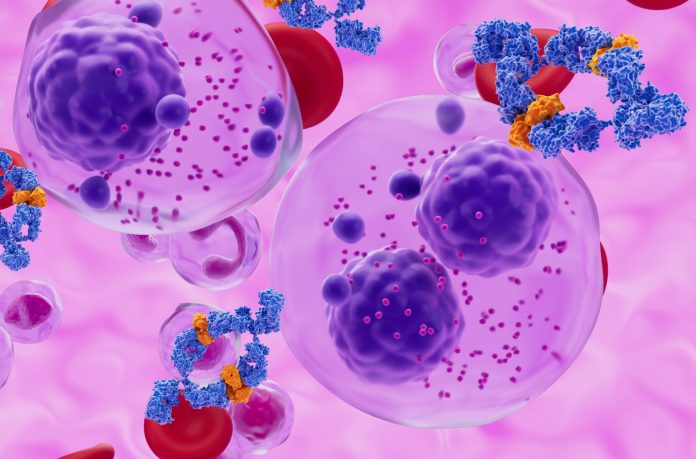 Monoclonal antibody treatment in Multiple myeloma (MM) - closeup view 3d illustration