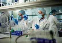 Team of scientists working on a research in laboratory.