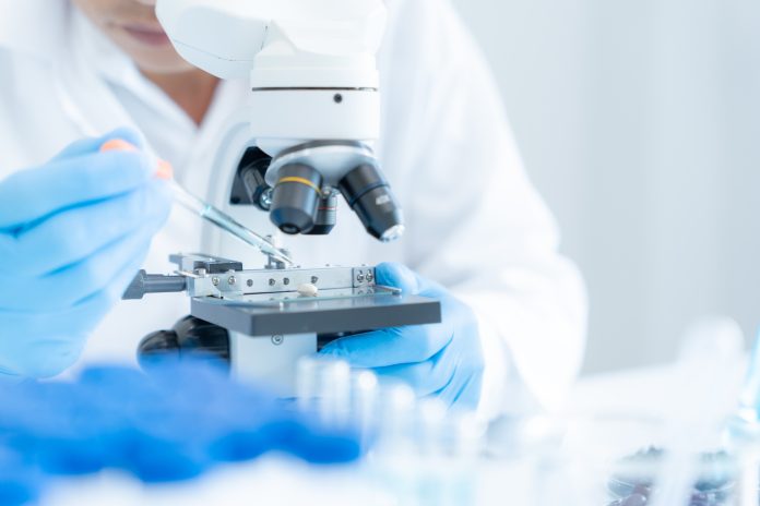 Scientist analyze biochemical samples in advanced scientific laboratory. Medical professional use microscope look microbiological developmental of viral. Biotechnology research in science lab.