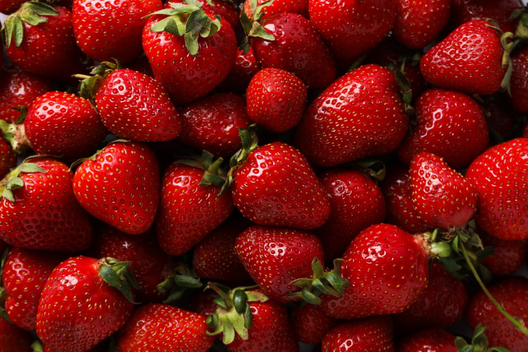 Sweet and fresh summer fruit - tasty strawberry