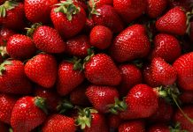 Sweet and fresh summer fruit - tasty strawberry