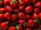 Sweet and fresh summer fruit - tasty strawberry