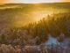 Aerial view of sunrise over winter forest pine trees. Cannock Chase (Area Of Outstanding Natural Beauty), Staffordshire, UK.