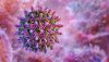 Hendra virus, a zoonotic disease. Viral particle, spike-like glycoproteins.