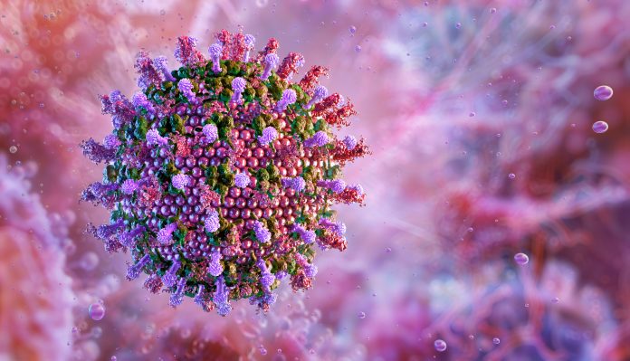 Hendra virus, a zoonotic disease. Viral particle, spike-like glycoproteins.
