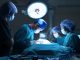 group of veterinarian surgery in operation room take with art lighting and blue filter