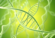Concetp digital illustration DNA structure. 3d rendering.