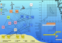 Figure 1A. The carbon flow food web model of the southern Skagerrak comprises 18 interconnected compartments, with link thicknesses proportional to the feeding preferences of the receiving group. Icons indicate where offshore wind-mediated effects are incorporated into the model. B. Model area (1x1 km grid) in the southern Skagerrak between Denmark and Sweden, centred around the planned Poseidon offshore wind farm (blue). C. Estimated carbon content of the model compartments in the year 2000. - article: Disentangling risks and opportunities of offshore wind for marine ecosystems