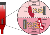 Figure 1. Microbial electrochemical fluidized bed reactor under anodic and cathodic conditions to stimulate wastewater removal and PHB production, respectively.