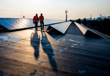 Male engineers walking along rows of photovoltaic panels