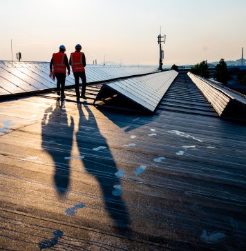 Male engineers walking along rows of photovoltaic panels