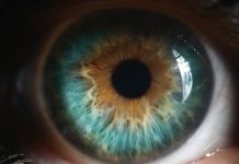 Closeup of green human eye in low light technique. Hyperopia, myopia, astigmatism and laser vision correction