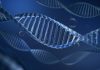 DNA with bubble on dark blue background metaphor biotechnology, stem cell and human longevity. 3D rendering