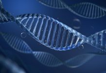 DNA with bubble on dark blue background metaphor biotechnology, stem cell and human longevity. 3D rendering