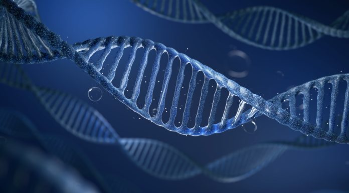 DNA with bubble on dark blue background metaphor biotechnology, stem cell and human longevity. 3D rendering