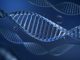 DNA with bubble on dark blue background metaphor biotechnology, stem cell and human longevity. 3D rendering