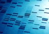 DNA fingerprints in blue tone.