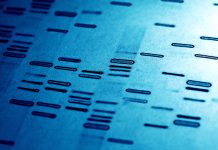DNA fingerprints in blue tone.