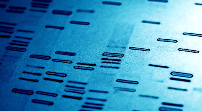 DNA fingerprints in blue tone.